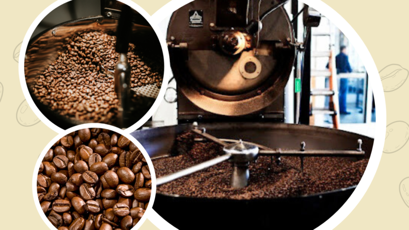 Hot Air Roasted Salted Coffee A Gourmet Twist on Tradition